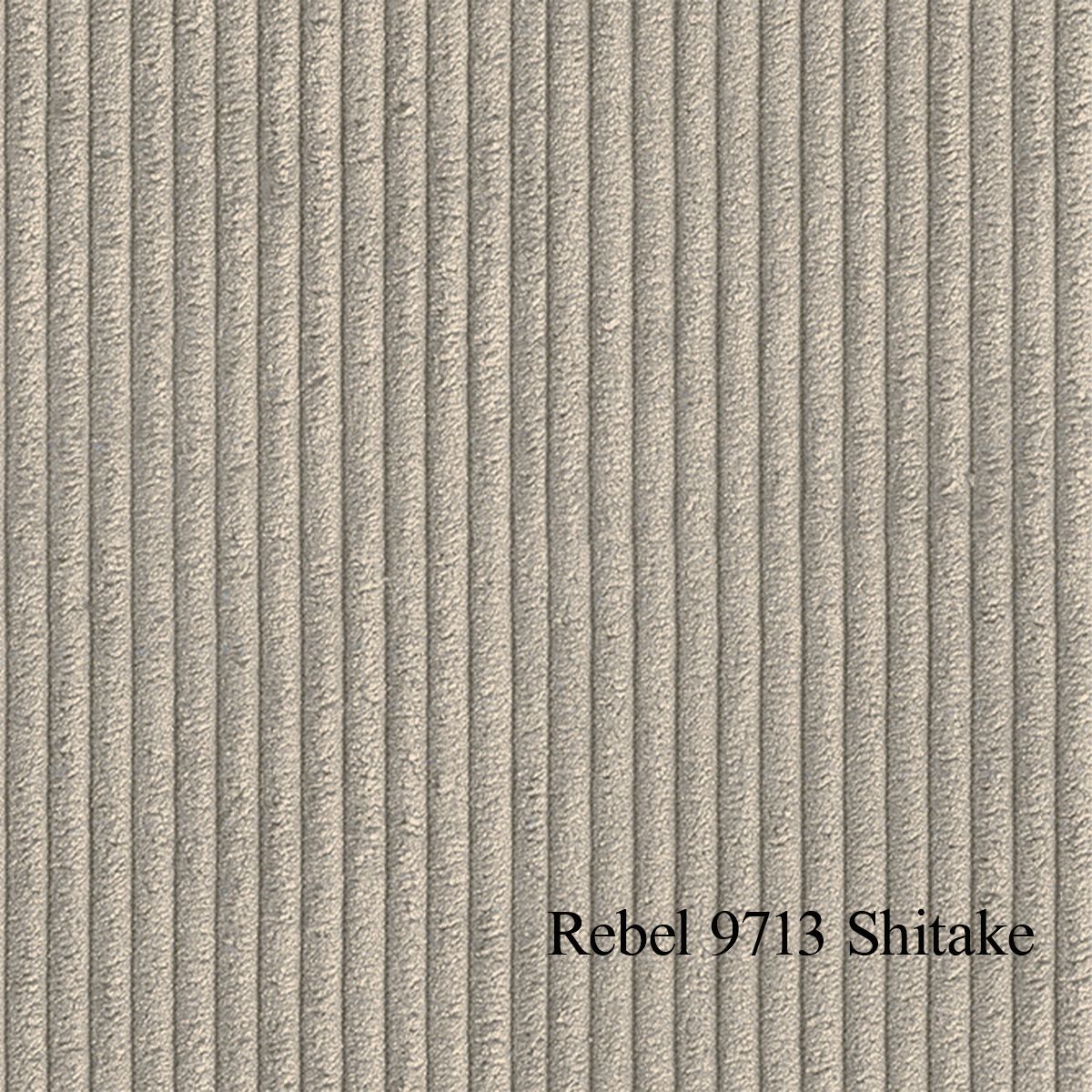 Lise spisestol med Ergo og sving i Rebel cordfløyel tekstil